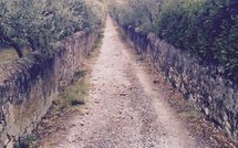 Foto ingevoerd door een huurder van Villa Eden