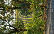 Foto ingevoerd door een huurder van Le Gallozzole