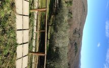 Foto ingevoerd door een huurder van Villa Saverio