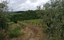 Foto ingevoerd door een huurder van Massi