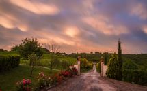 Foto ingevoerd door een huurder van Podere Romina Exclusive