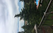 Foto ingevoerd door een huurder van Maesta dei Mori