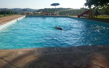 Foto ingevoerd door een huurder van Vittoriana