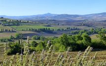 Foto ingevoerd door een huurder van Fonte All'Oppio