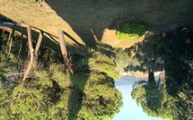 Foto ingevoerd door een huurder van Spuntone