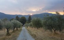 Foto ingevoerd door een huurder van Il Castagneto