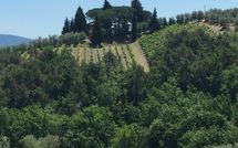 Foto ingevoerd door een huurder van Villa Fabbiolle All'Impruneta