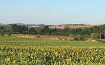 Foto ingevoerd door een huurder van Villa San Fabiano