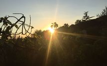 Foto ingevoerd door een huurder van Vinci 820