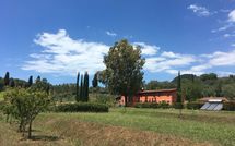 Foto ingevoerd door een huurder van Al Valentino