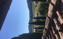 Foto ingevoerd door een huurder van Tenuta Il Tresto