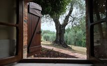 Foto ingevoerd door een huurder van Il Meleto