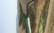 Foto ingevoerd door een huurder van Agriturismo Il Gattero