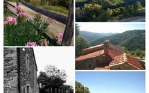 Foto ingevoerd door een huurder van Tribbiano