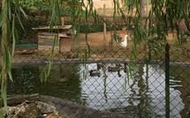 Foto ingevoerd door een huurder van Pagliazzone