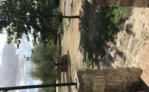 Foto ingevoerd door een huurder van Pieve di Sant Ippolito