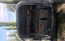 Foto ingevoerd door een huurder van Villa Il Prato