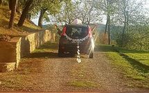 Foto ingevoerd door een huurder van Villa Il Prato