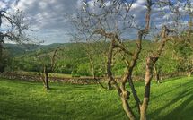 Foto ingevoerd door een huurder van Casalta di Pesa