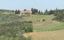 Foto ingevoerd door een huurder van Fattoria di Quercia al Poggio