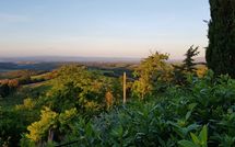 Foto ingevoerd door een huurder van Giovanna Vacanze