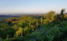 Foto ingevoerd door een huurder van Giovanna Vacanze