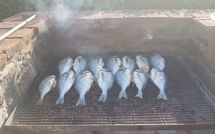 Foto ingevoerd door een huurder van Torre di Vignale