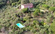 Foto ingevoerd door een huurder van Villa Igea 13