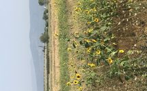 Foto ingevoerd door een huurder van Case Sant'Anna