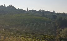 Foto ingevoerd door een huurder van Casa Rossa