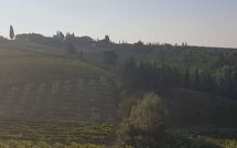 Foto ingevoerd door een huurder van Casa Rossa