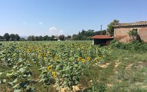 Foto ingevoerd door een huurder van Villa la Fragola