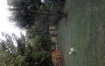 Foto ingevoerd door een huurder van Casina del Sole