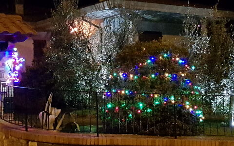 La Casina Del Canneto: Verlichting, Licht, Nacht, Landschap Verlichting, Boom, Architectuur, Interieur Ontwerp