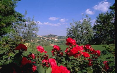 Poggetto Di Montese