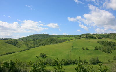 La Torretta