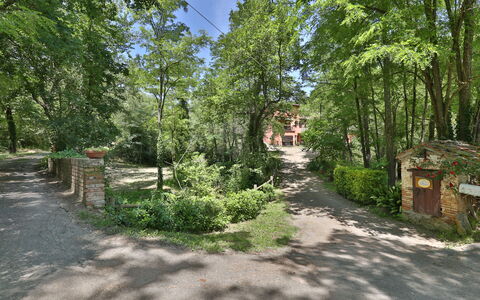 Podere Il Doccio: Boom, Natuurgebied, Vegetation, Eigendom, Natuurlijke Omgeving, Biome, Woud, Trail, Bos, Land Lot