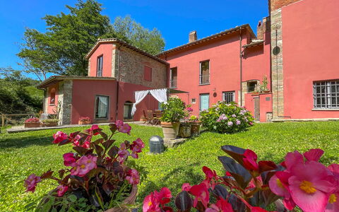 Mulino a Montegonzi Di Rimaggio: Bloem, Lucht, Fabriek, Venster, Gebouw, Groen, Bloempot, Boom, Gras, Huis