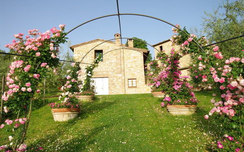 Villa Ardene: Boog, Architectuur, Bloem, Fabriek, Tuin, De Lente, Werf, Huis, Gras, Gazon