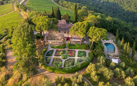 Villa Le Corti: Struik, Tuin, Plantengemeenschap, Groundcover, Landscaping, Landgoed, Botanische Tuin, Hacienda, Backyard