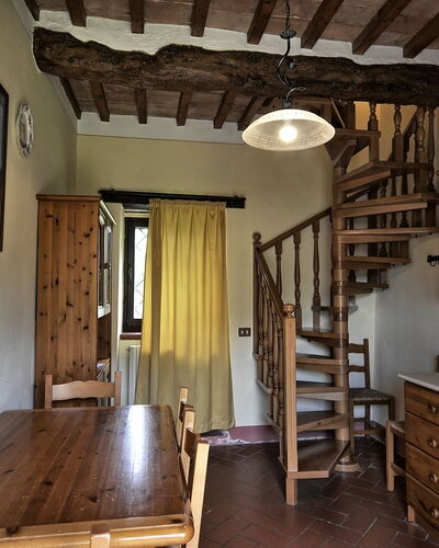 Ginestra