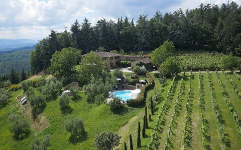 Villa Flora: Heuvel Station, Hoogland, Biome, Wildernis, Plantage, Boom, Landschap, Landelijk Gebied, Land Lot, Fotografie