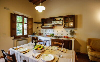 Accommodatie:&nbsp;Paulonia