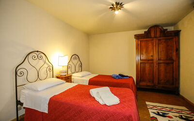 Accommodatie:&nbsp;Paulonia