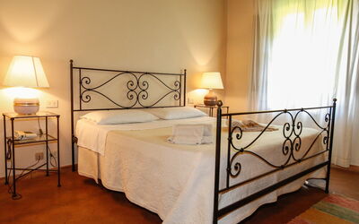 Accommodatie:&nbsp;Paulonia