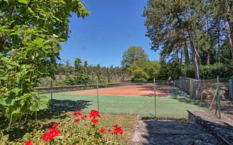 Il Poggio Di Patrignone: Natuur, Natuurlijk Landschap, Tuin, Eigendom, Boom, Onroerend Goed, Gras, Plantkunde, Lucht, Werf