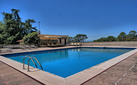 Il Poggio Di Patrignone: Zwembad, Eigendom, Onroerend Goed, Huis, Water, Vrije Tijd, Landgoed, Huis, Woongebied, Gebouw