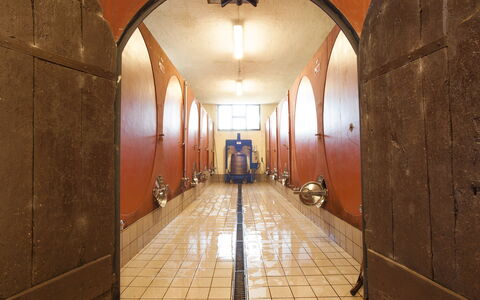 Fattoria Di Quercia Al Poggio: Gebouw, Boog, Architectuur, Kamer, Verdieping, Hal, Interieur Ontwerp, Plafond, Symmetrie, Flooring