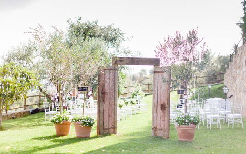 Fattoria Di Quercia Al Poggio: Eigendom, Werf, Gras, Backyard, Boom, Tuin, Land Lot, Huis, Gebouw, Gazon