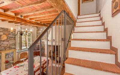 Accommodatie:&nbsp;Dante 3